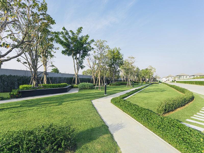 เดอะริคโค้-ทาวน์-วงแหวนฯ-ลำลูกกา