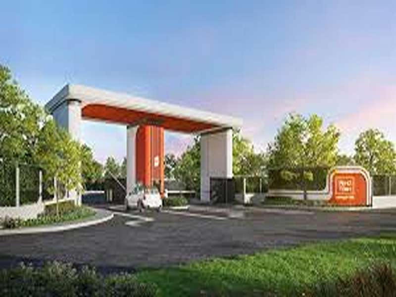 พลีโน่-ทาวน์-ราชพฤกษ์-345